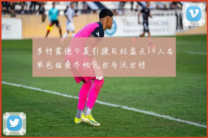 多特蒙德今夏引援目标盘点14人名单包括桑乔帕瓦尔与沃尔特